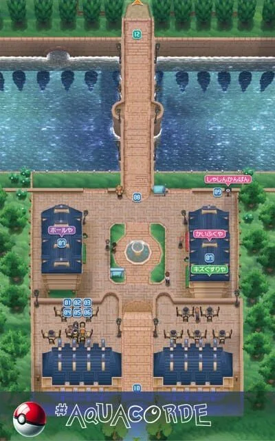 Aquacorde Town, a town located in the southwestern part of the Kalos region.
